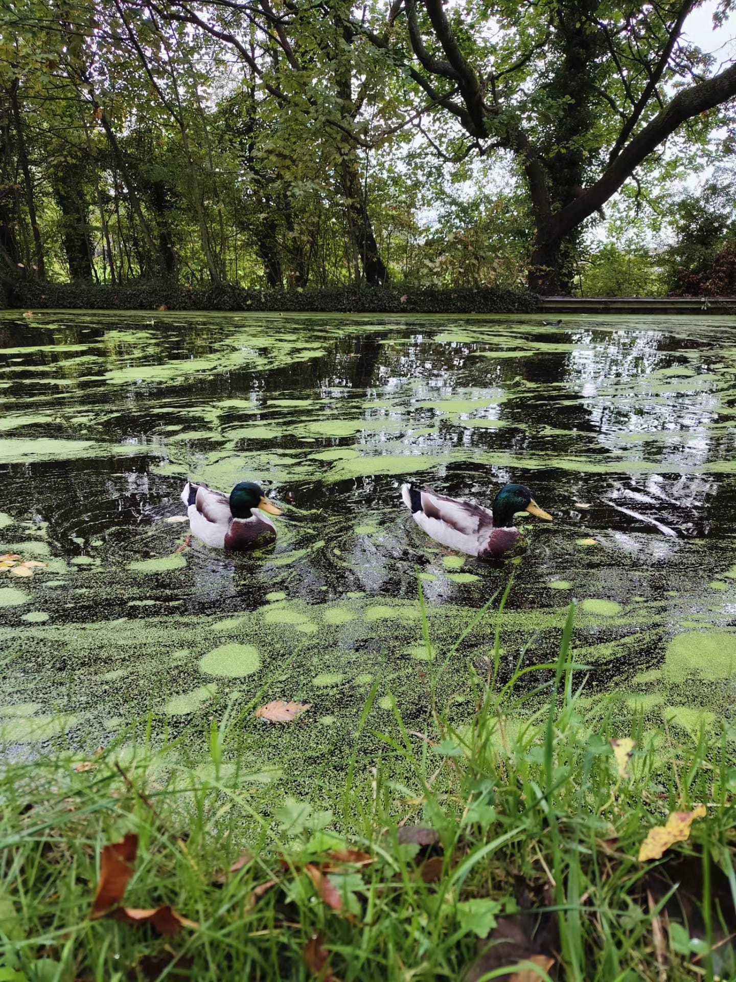 Behind the scenes: life outside digital marketing